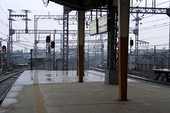�ߓS��a���؉w(11)��{���E��g����