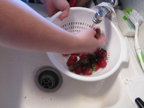 Washing the strawberries from the market