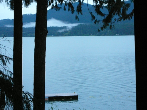 Morning wake up view at Lake Quinault