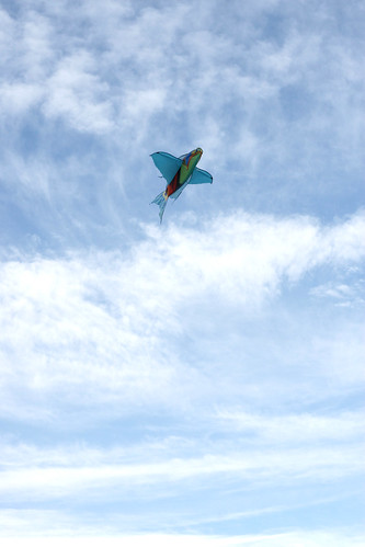  kite