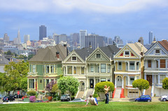 Foggy Day for the Painted Ladies