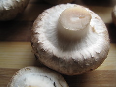 estnut mushrooms