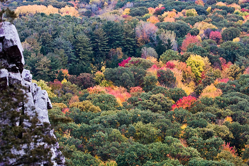 Fall color at Devil's Lake State Park