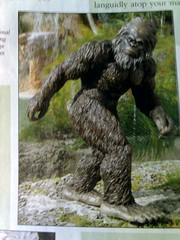 True actual pages from SkyMall.com