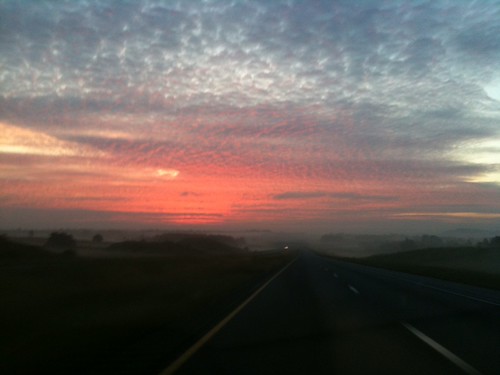 Walker county this am