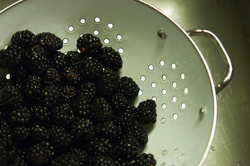 blackberries (by bookgrl)