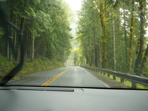 Driving the Olympic Highway near Port Angeles
