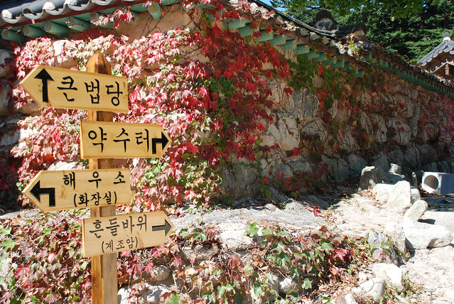 Which way from here? Seoraksan National Park, South Korea - colorful leaves
