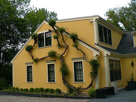 Yellow Houses Lyric Restaurant