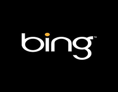 Bing reverse logo