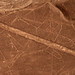 The Nasca lines