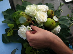 festa per didino