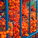 Orange'n Blue ordinary love story • <a style="font-size:0.8em;" href="http://www.flickr.com/photos/28170781@N04/4036814107/" target="_blank">View on Flickr</a>