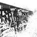 BNSF Railroad Swing Bridge over Neches River, Evadale, Texas 0804091209BW