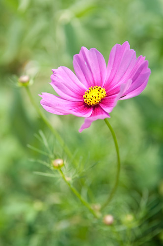 DSC_8255.jpg