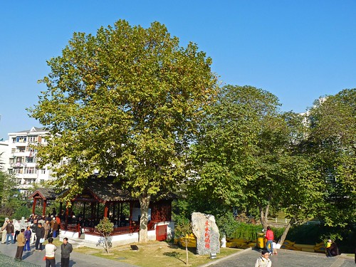 Qinhuai scenic area26