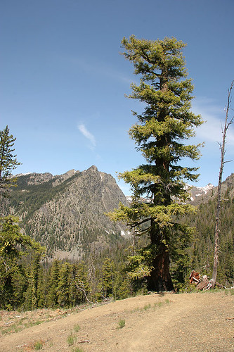 Iron Peak trail