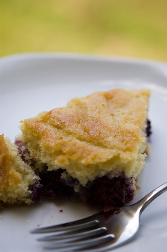 blackberry buttermilk cake (by bookgrl)