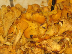 Mushrooms at the Naschmarkt