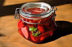 Snaps med jordbær og rabarber