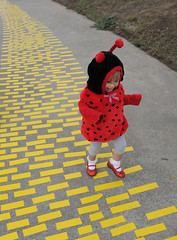 Follow the Yellow Brick Road!