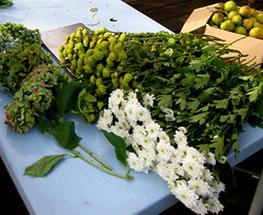 festa per didino