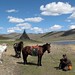 mongolian horses & mongolian man