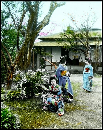 THREE GEISHA ON THE GROUNDS OF HIKONE PARK near OLD KYOTO, JAPAN