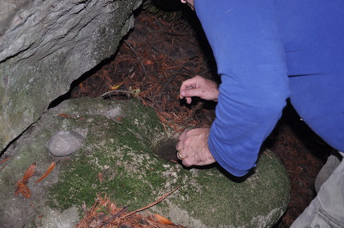 Heres Cousin John rooting around in the moss and finding six more!