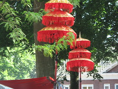 Tree lanterns