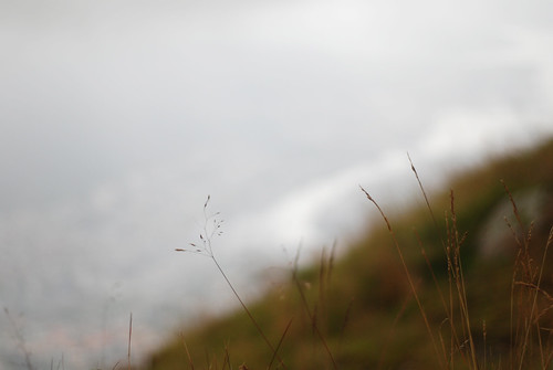 mist