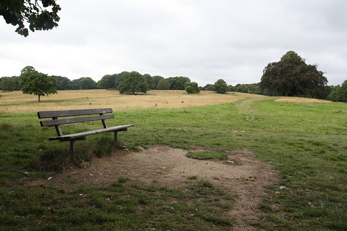 hampstead heath