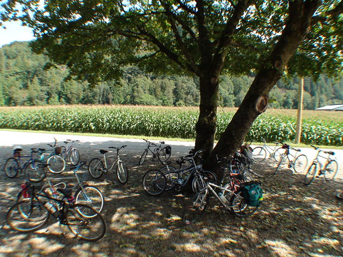 Bikes getting a rest on the Agassiz Slow Food Tour