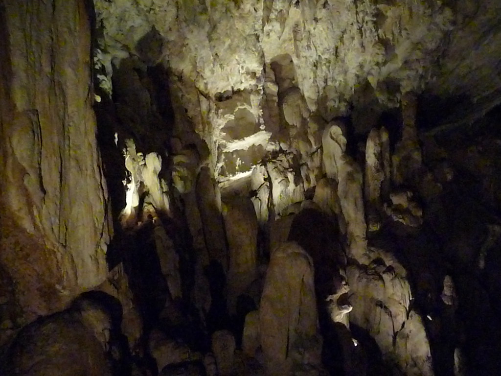 Mulu-Winds Cave (31)