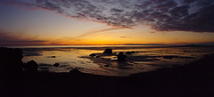 Pan 25-26 875 Tidelands