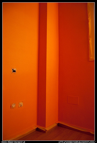 Painting Day Naranja
