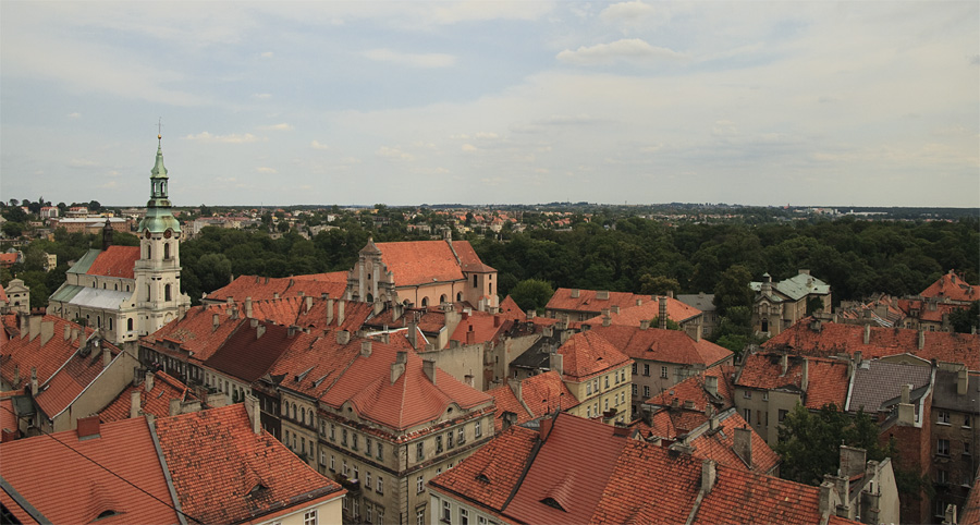 View from City Hall / Kalisz