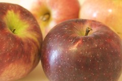 Beautiful, fresh, local, red apples
