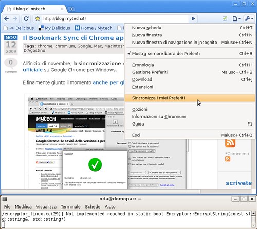 Linux Chromium 4.0.251.0 (32176) - sincronizza