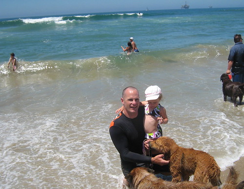 Dog Beach Surf City