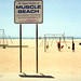 Muscle Beach by Brian Auer