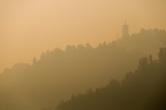 Pagoda in the mist