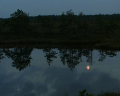Estonia, Rabivere Marshland Nature Preserve night