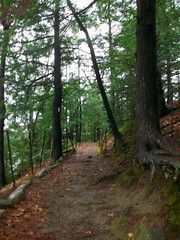 Paths around Walden Pond • <a style="font-size:0.8em;" href="http://www.flickr.com/photos/34335049@N04/4157470059/" target="_blank">View on Flickr</a>