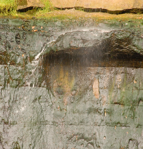 dsc_9051