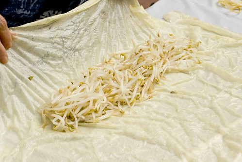 Wrapping mung bean sprouts