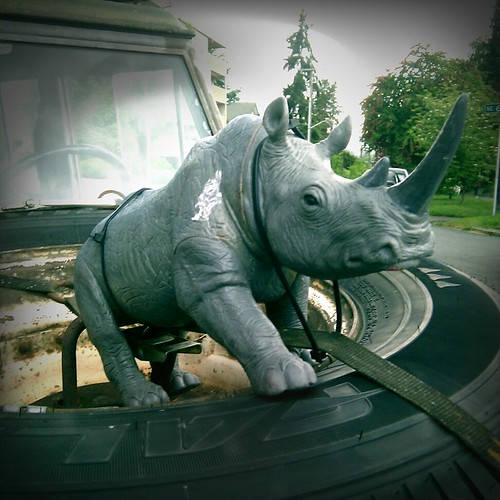 Rhino on the Land Cruiser