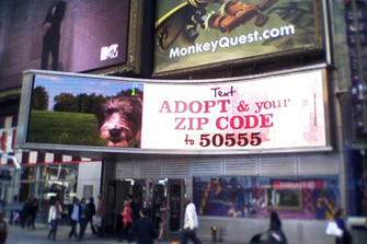 Best Friends' animal adoption video playing in Times Square on Geoffrey Tron
