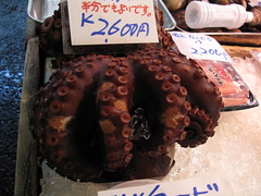 Octopus, Tsukiji Fish Market