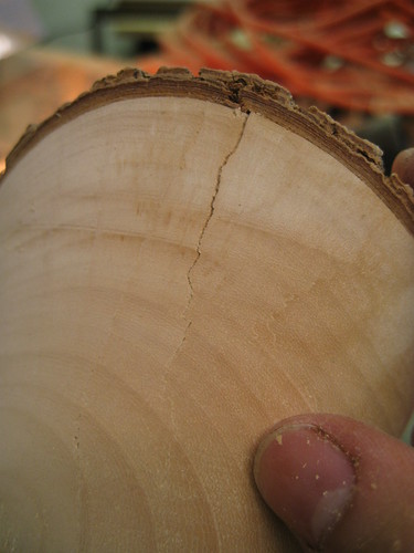 closeup of Jacaranda bowl rough check